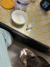 新宠之康 宠物羊奶粉400g狗狗猫咪成幼犬猫泰迪金毛羊奶粉营养补充 实拍图