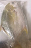 卖鱼七郎 国产冷冻金鲳鱼 3条装 净重2.7斤 海鱼特大 生鲜鱼类海鲜水产 实拍图