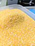 十月稻田 玉米糁 2斤 苞米碴 玉米渣玉米粥 熬粥 杂粮 低脂粗粮 大米伴侣 实拍图