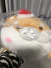 名创优品（MINISO）趣味阿柴系列趴姿毛绒公仔娃娃玩偶儿童玩具抱枕靠枕生日礼物女 实拍图