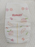 好奇（Huggies）铂金装小桃裤成长裤L120片(9-14kg)大号尿不湿拉拉裤【透爽散热】 实拍图
