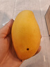 海南小台芒2026新鲜上市芒果热带果园 带箱9斤【单果70g+】 实拍图