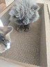 pidan猫抓板 纸盒款 瓦楞纸猫窝耐磨猫玩具 实拍图