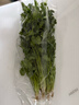 带根香菜100g 实拍图