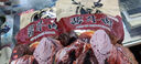 哞哩牧场五香酱牛肉内蒙古正宗草原特产牛肉熟食开袋即食卤牛肉下酒菜零食 净重半斤含料包【草原酱牛肉1包】 实拍图