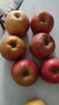 2025正宗云南昭通冰糖心丑苹果新鲜水果苹果当季脆甜水果产地直发 5斤礼盒装（80-90mm） 实拍图