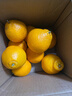 优圣园 四川春见耙耙柑【闪送】爆浆大果新鲜柑橘子桔子粑粑柑水果礼盒 【金奖级-黄金甜度】老树果王85mm+ 5斤装【超划算-80%人选择】*净4.5 实拍图