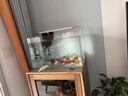 YEE超白鱼缸桌面客厅生态斗金鱼乌龟缸造景小型水草养鱼玻璃裸缸50cm 实拍图