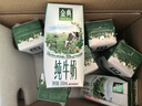 伊利金典纯牛奶整箱 200ml*12盒 3.6g乳蛋白 原生高钙 礼盒装 实拍图