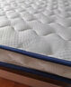 恒源祥家纺A类立体乳胶床垫1.8米x2米榻榻米床垫褥子垫被双人家用 实拍图