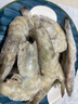 东上御品虾 青岛大虾基围虾鲜活青虾白虾海虾对虾冰虾冻虾生鲜 虾类 海鲜 3斤(净重)  气冻大虾【活虾速冻】 15-18cm【单只超大虾】 实拍图