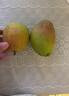 京鲜生 新疆特级库尔勒香梨 净重5斤单果120g以上 生鲜水果 实拍图