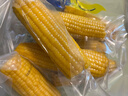 京鲜生东北黄糯玉米300g*8棒 甜黏玉米低脂早餐代餐粗粮真空装 源头直发 实拍图