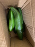 京喜加新鲜无刺水果小黄瓜小青瓜脆甜荷兰脆嫩生吃黄瓜蔬菜 水果黄瓜 1斤 净重 实拍图