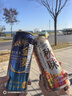麒麟（Kirin）一番榨秋味啤酒500ml*24罐 日本原装进口整箱装秋季限定 实拍图