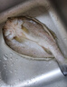 仙泉湖三去白蕉海鲈鱼1斤/条净膛冷冻刺少肉厚珠海特产500g生鲜食材 实拍图