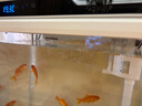 森森 超白玻璃智能鱼缸一体缸自循环家用水族箱HE-300 实拍图