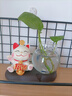 京东鲜花招财猫水培花瓶家居客厅装饰品办公桌面工位摆件水养器皿花盆摆设 实拍图