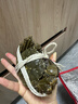【活蟹】漁家师傅大闸蟹公3.5-3.8两母2.5-2.8两4对8只 鲜活螃蟹生鲜年货礼盒 源头直发 实拍图