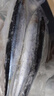 卖鱼七郎大号秋刀鱼2斤 净重 新鲜海捕鲜活冷冻日料生鲜烧烤食材海鲜鱼类 实拍图