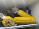 十月稻田 黄甜糯玉米 8根 3.52斤 真空包装 东北粘玉米棒 低脂早餐 实拍图