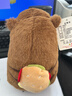背包款汉堡包背包卡皮巴拉公仔水豚鼠玩偶土拨鼠生日礼物儿童玩具 汉堡款（1个 图片为展示） 高约22厘米【精品8寸玩偶】 实拍图