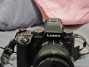 松下S5M2（20-60mm F3.5-5.6）（Panasonic）S5二代 全画幅微单相机 约2420万有效像素 新相位混合对焦 实拍图