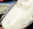 蜀皇乳山生蚝鲜活特大牡蛎海鲜5斤净重XL(28-38个)源头直发包 邮 实拍图