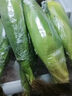 顾果鲜广西白糯牛奶玉米9斤新鲜现摘黏粘棒子带皮生苞米甜嫩农家自种 9斤 实拍图