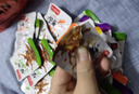 【便宜冲】香辣小鱼仔毛鱼湖南特产 酱汁山椒香辣鱼干休闲零食 鱼仔混合味14包 实拍图