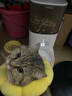 霍曼（Homerun）Real智能自动喂食器猫粮定时猫猫咪自动投食机（不锈钢碗） 实拍图