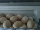 京鲜生【每日鲜蛋】无抗谷物鸡蛋30枚 3.18斤 当日产蛋 当日发货 实拍图