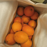 江西赣南早脐橙整箱当季新鲜早橙子榨汁水果礼盒皮薄多汁节日团购 【90%人选】净重9斤单个200g+ 实拍图