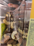 京东京造 X 京东PLUS会员联名款混合坚果1.1kg/罐 每日坚果开心果零食送礼 实拍图