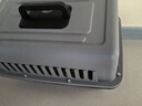 腆宠宠物航空箱小号 猫咪航空箱猫狗 猫包猫笼外出车载猫箱狗狗托运 实拍图