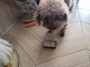 领先犬主食罐狗罐头湿粮零食狗饭鲜食营养全价120g*18罐（三种口味） 实拍图