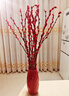 花行榜鲜枝年宵花卉干花 60cm大红银柳30枝+红波浪瓶+10个挂件源头直发 实拍图