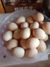 1号会员店富硒鲜鸡蛋30枚 源头直发 净重3斤 实拍图