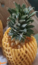 海南金钻凤梨新鲜10斤正宗菠萝整箱新鲜水果风梨当季香水菠萝特产 净重5~5.5斤 实拍图