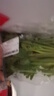 【24小时菜】大芹菜约400g 实拍图