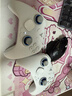 飞智冰原狼4多模版无线游戏手柄 类xbox 力调节摇杆双切扳机 switch电脑PC手机steam体感NS 丝之歌 实拍图