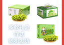 京鲜生 阳光玫瑰葡萄 青提6斤礼盒装 单果约10g 生鲜水果 新鲜水果 实拍图