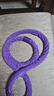 SMOOKY软呼啦圈弹簧男女成人美腰塑形加重收腹专用静音款约5斤紫呼啦圈 实拍图