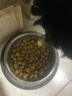 皇家狗粮 成犬粮 通用犬型 CC通用狗粮12月以上 8KG【成犬通用】 实拍图
