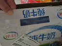 伊利纯牛奶 250ml*16盒 全脂牛奶 礼盒装 10月产 实拍图
