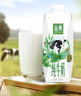 伊利金典纯牛奶整箱 250ml*16盒 3.6g乳蛋白 年货礼盒装 实拍图