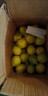 鲜青录广西黄金百香果钦蜜9号新鲜水果黄色白香果西番莲鸡蛋果 净重5斤（单果40-60g） 实拍图