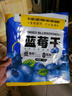 三只松鼠每日蓝莓干500g 蜜饯果干酸甜休闲零食下午茶孕妇儿童健康零食 实拍图