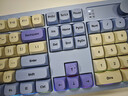 京东京造J104Pro无线蓝牙三模客制化机械键盘 游戏电竞办公104键gasket五层填充石子音 冰淇淋 星海轴 实拍图