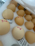 温氏供港L级大码鲜鸡蛋30枚/3.6斤 谷物喂养 无抗生素 生鲜早餐食材 实拍图